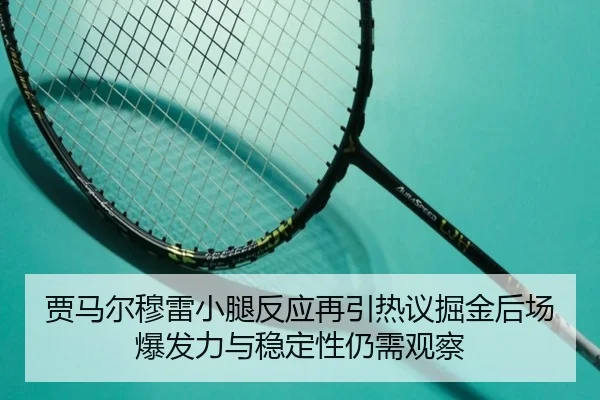 gu-ma-er-mu-lei-xiao-tui-fan-ying-zai-yin-re-yi-jue-jin-hou-chang-bao-fa-li-yu-wen-ding-xing-reng-xu-guan-cha-2-824.jpg